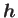 $ \boldsymbol{h}$