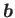 $ \boldsymbol{b}$